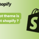 what theme is that shopify